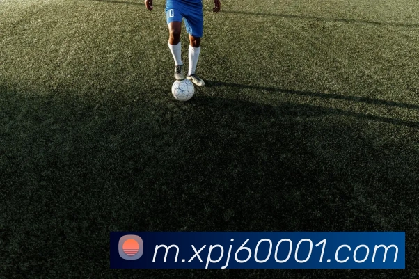 澳门新葡京官网平台生态图